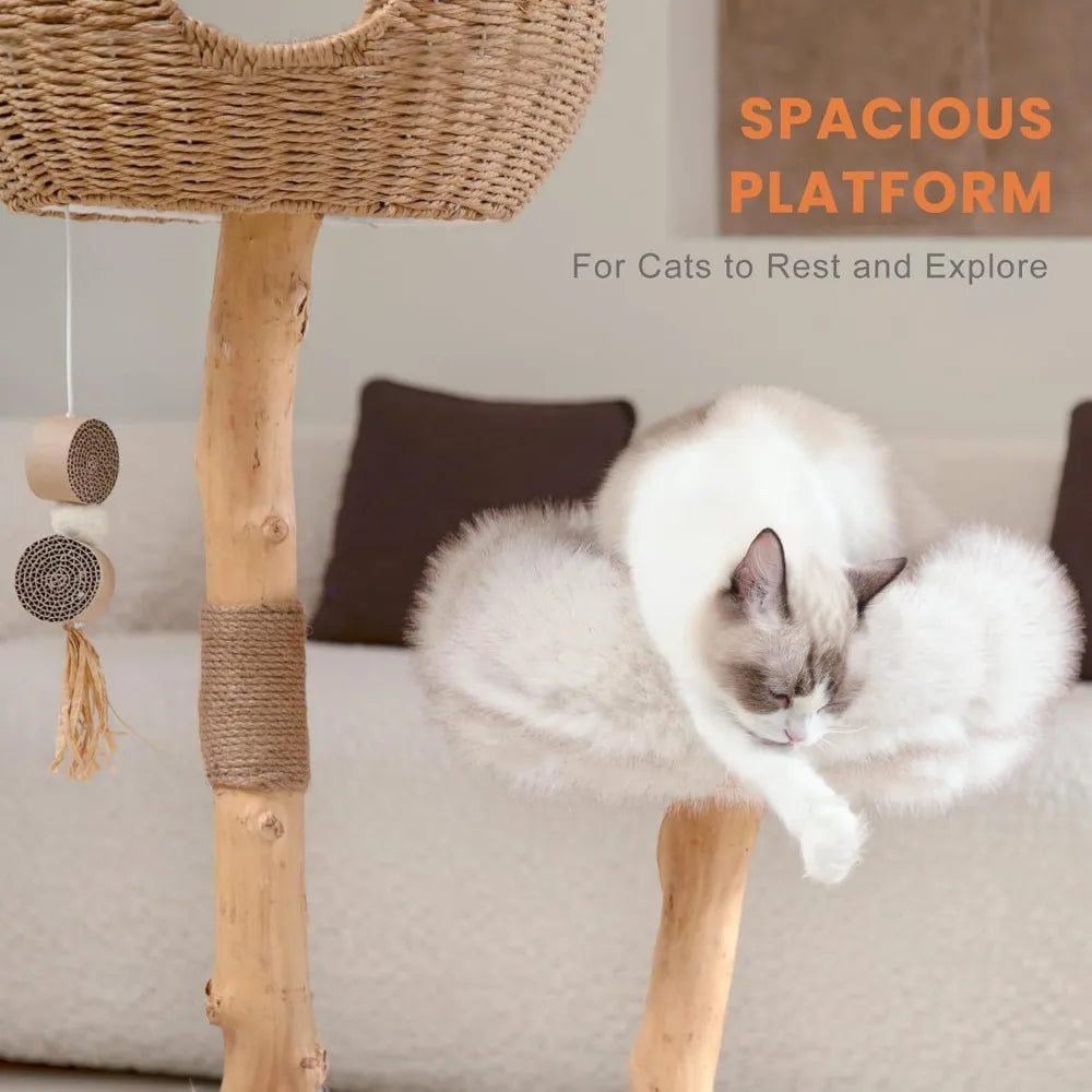 The Cloud Natural Cat Tree