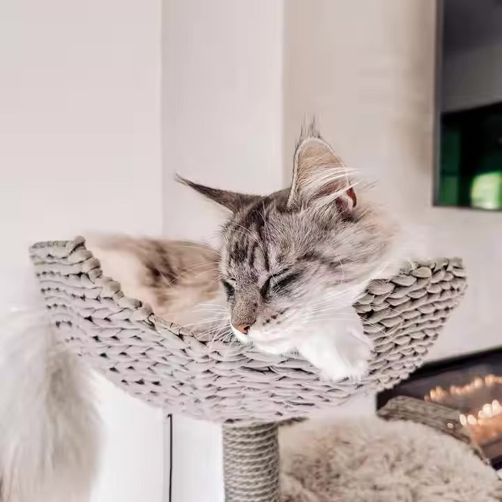 The Ashcroft- Cat Tree