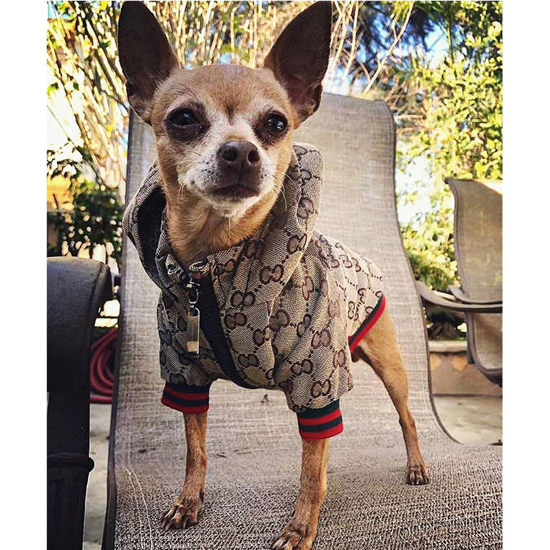Luxury Designer Dog Fleece Jacket - Hoodie for Ultimate Canine Comfort & Style