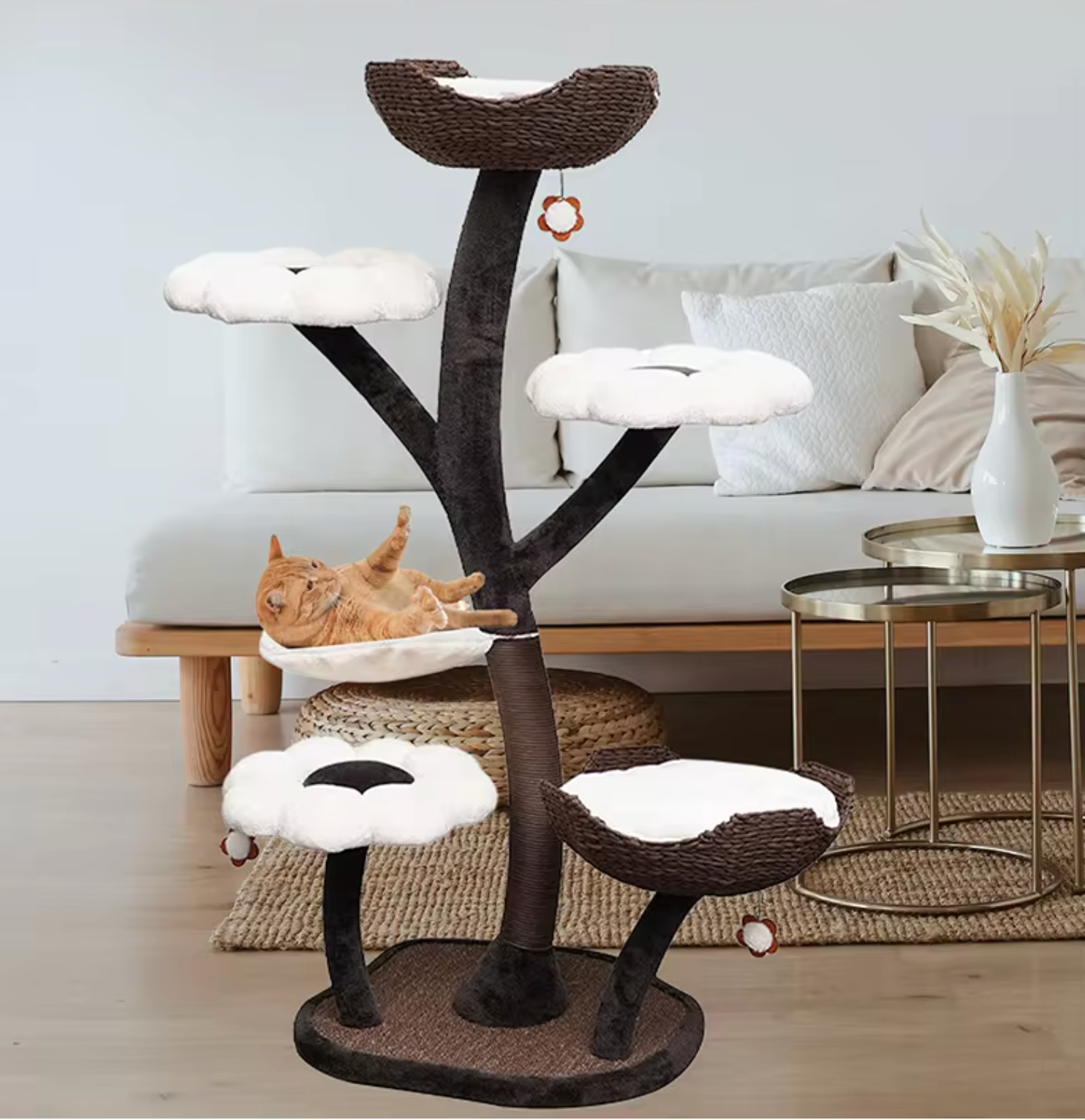 Terra- The Ultimate Cat Haven