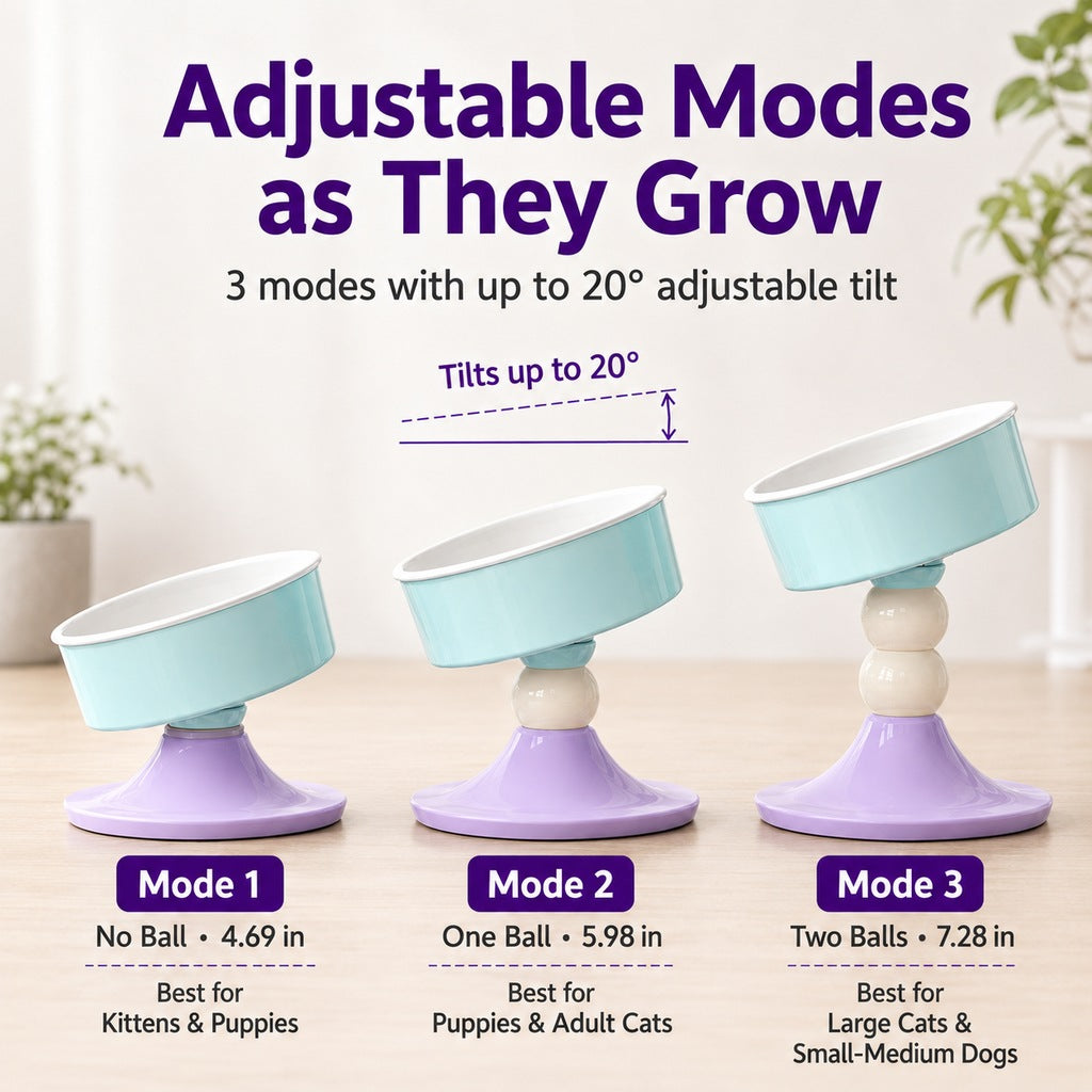 Malloren Adjustable Elevated Pet Bowl for Cats & Small Dogs - 3 Height Modes for Comfortable Feeding