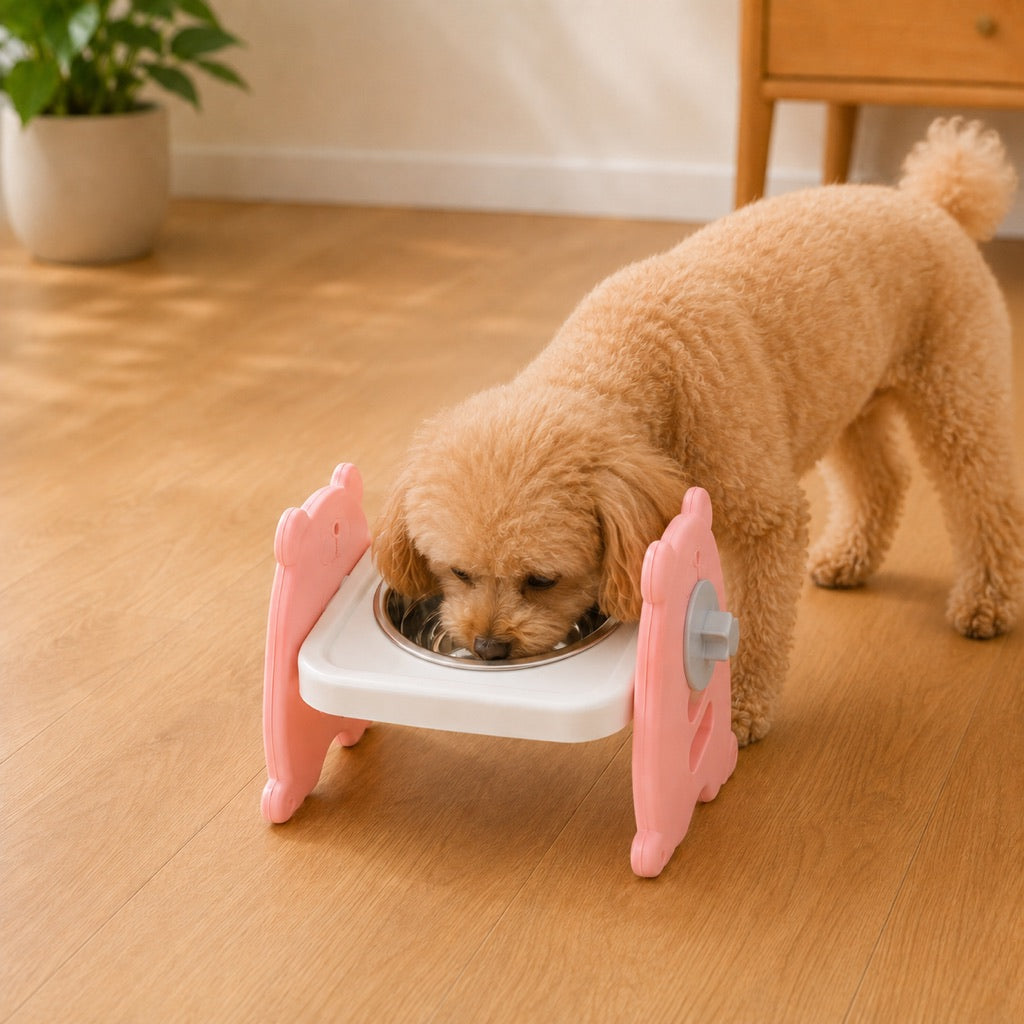 Malloren Adjustable Elevated Stainless Steel Pet Bowls for Cats & Small Dogs - Tilted Feeding Station for Easier Mealtime & Less Floor Mess