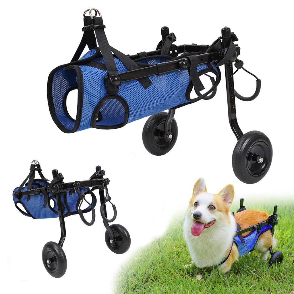 Malloren Adjustable Rear Leg Dog Wheelchair for Daily Walks - Mobility Support Cart for Small Dogs with Weak Back Legs