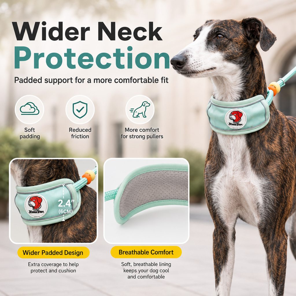 Malloren Anti-Choke Dog Leash for Everyday Walks - Padded Neck Protection & Better Control for Pullers