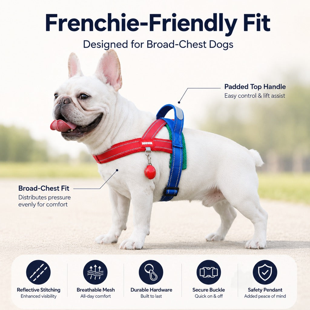 Malloren No-Choke French Bulldog Harness & Leash Set for Daily Walks - Reflective, Easy-Control Fit for Broad-Chest Dogs