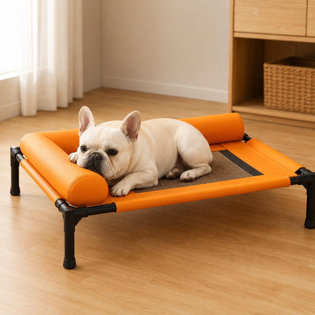 Malloren French Bulldog Elevated Dog Cot for All-Season Indoor Naps - Breathable Raised Pet Bed with Soft Bolsters for Cooler Rest & Easy Cleaning