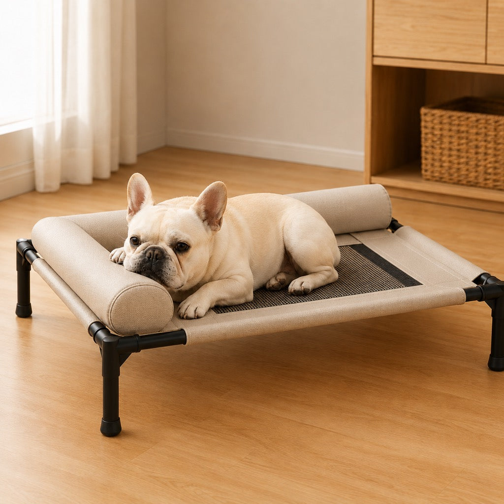 Malloren French Bulldog Elevated Dog Cot for All-Season Indoor Naps - Breathable Raised Pet Bed with Soft Bolsters for Cooler Rest & Easy Cleaning