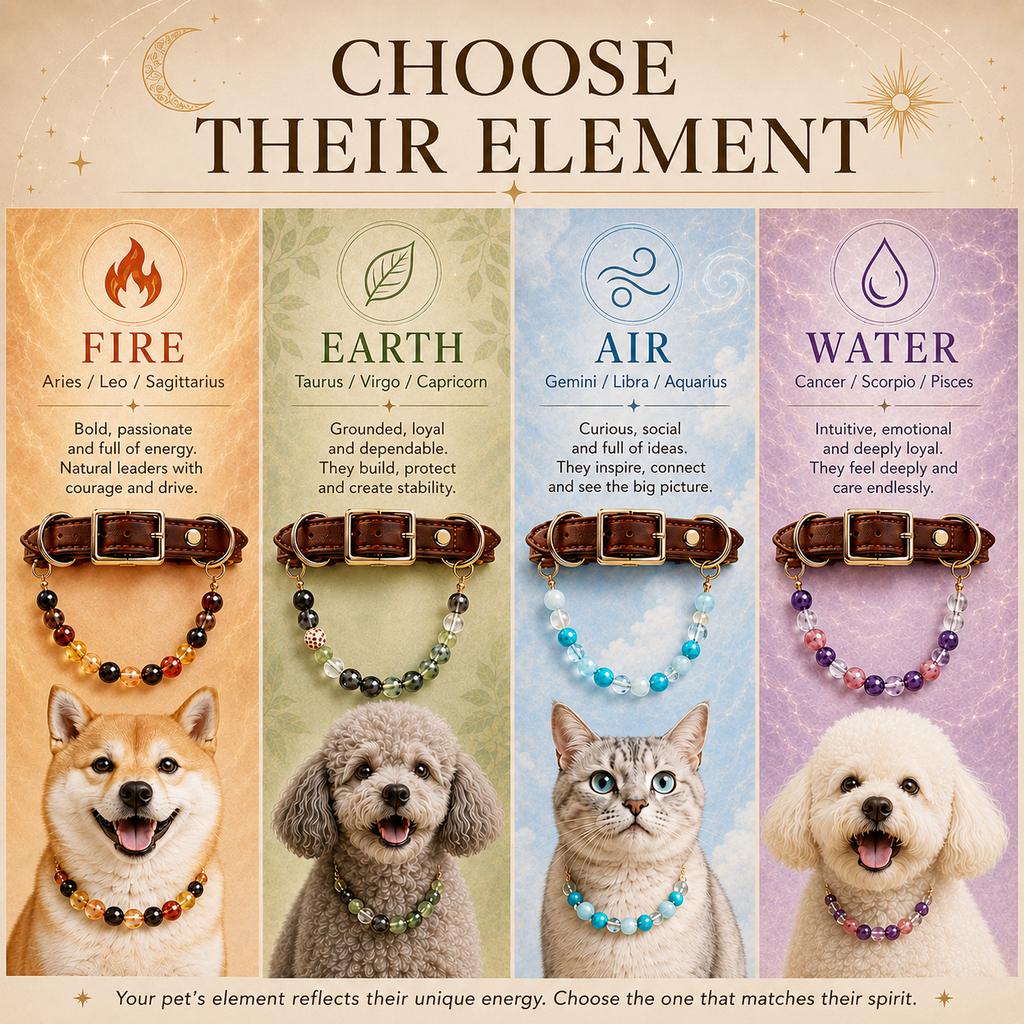 Malloren Four Elements Crystal Pet Collar Gift Box for Cats & Small Dogs - Photo-Ready Astrology Pet Jewelry for Birthdays, Holidays & Meaningful Pet Gifts