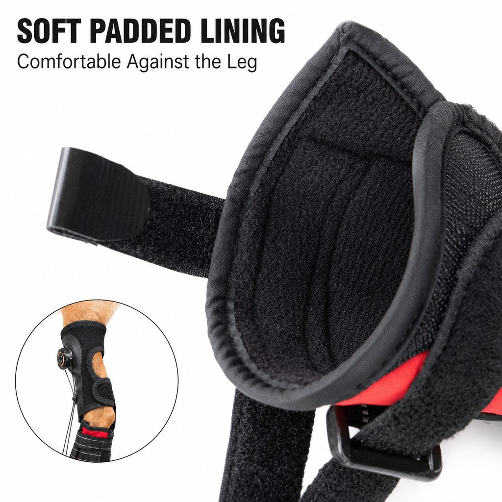Malloren Adjustable Tension-Dial Dog Paw-Lift Support Boots – For Indoor Floors & Outdoor Walks, Paw Dragging & Scuffing Support