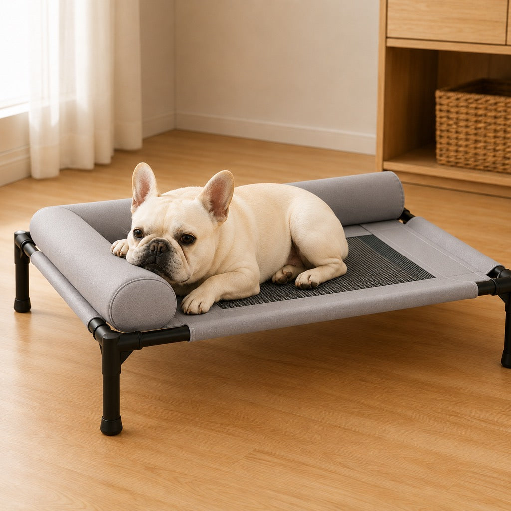 Malloren French Bulldog Elevated Dog Cot for All-Season Indoor Naps - Breathable Raised Pet Bed with Soft Bolsters for Cooler Rest & Easy Cleaning