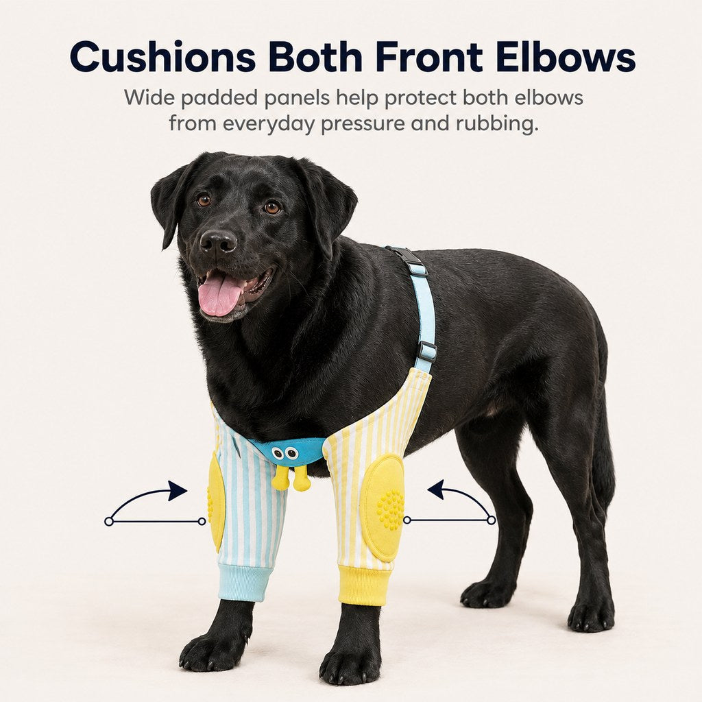 Malloren Padded Dog Elbow Protector Sleeves for Hard Floors - Dual Front-Leg Coverage for Pressure & Rubbing