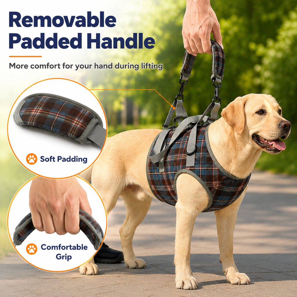 Malloren Dog Mobility Support Harness for Stairs & Cars - Front or Rear Lift Assist for Weak Legs