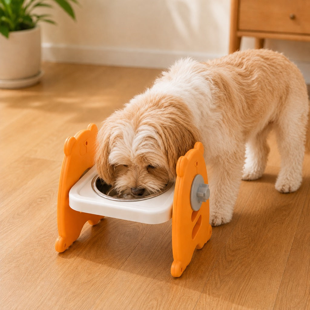 Malloren Adjustable Elevated Stainless Steel Pet Bowls for Cats & Small Dogs - Tilted Feeding Station for Easier Mealtime & Less Floor Mess