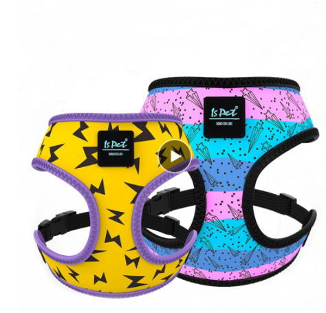 Canine Couture: Fashion Dog Harness