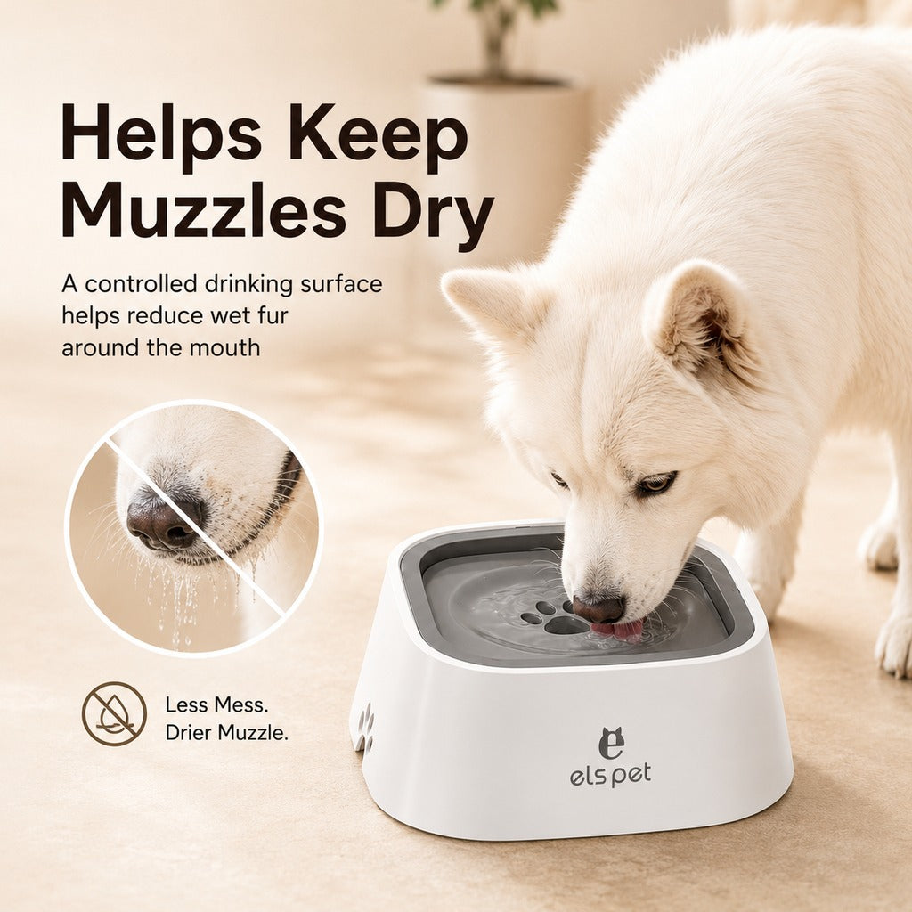 Malloren Floating Pet Water Bowl for Home & Car - Less Splash, Cleaner Floors