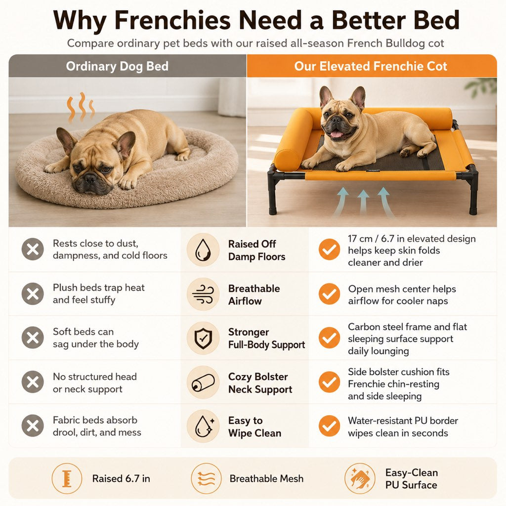 Malloren French Bulldog Elevated Dog Cot for All-Season Indoor Naps - Breathable Raised Pet Bed with Soft Bolsters for Cooler Rest & Easy Cleaning