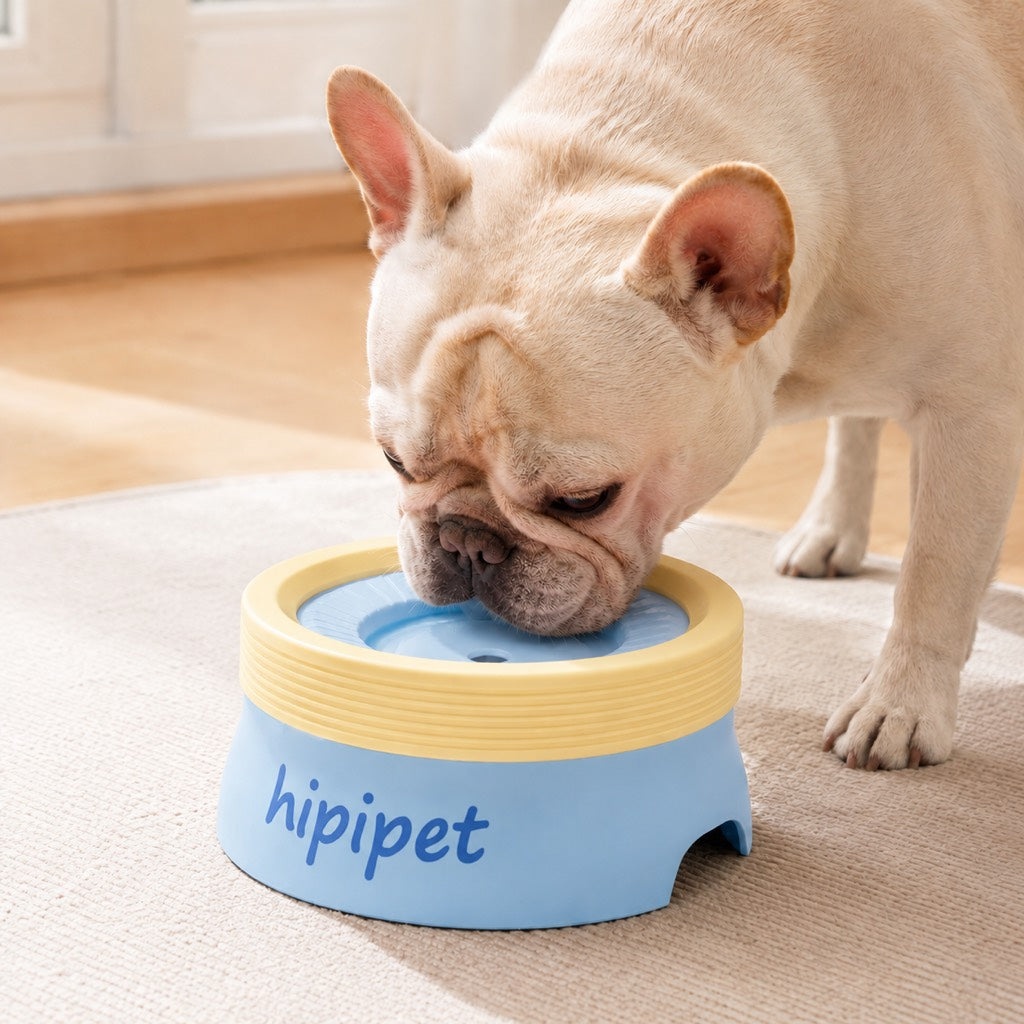 Malloren Frenchie No-Drip Floating Water Bowl for Indoor Daily Drinking - Helps Keep Muzzle Drier & Floors Cleaner