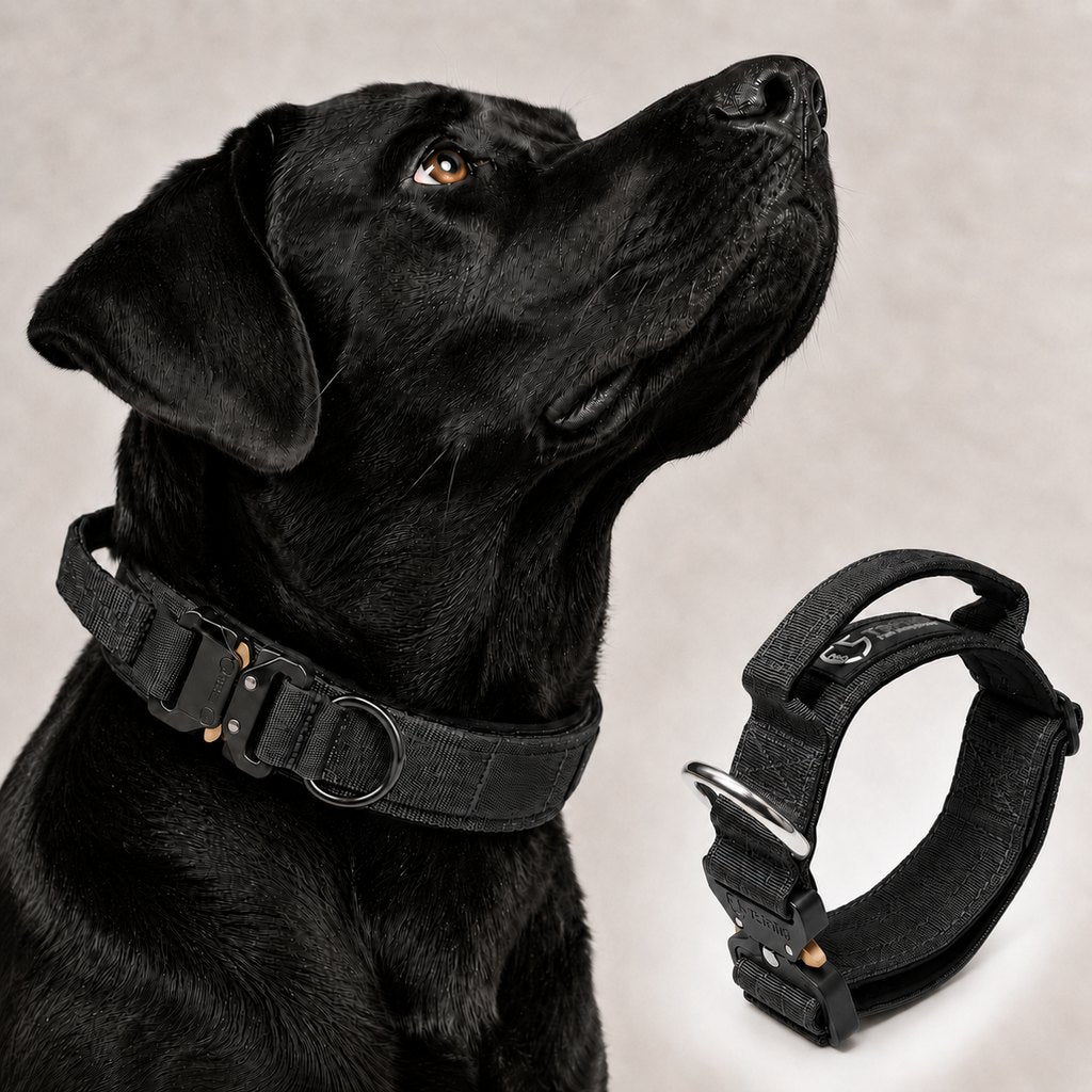 Malloren Large Dog Tactical Collar with Control Handle - Secure Grip for Walks, Training & Strong Pullers
