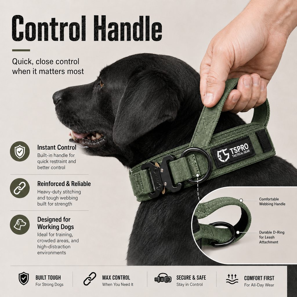 Malloren Large Dog Tactical Collar with Control Handle - Secure Grip for Walks, Training & Strong Pullers
