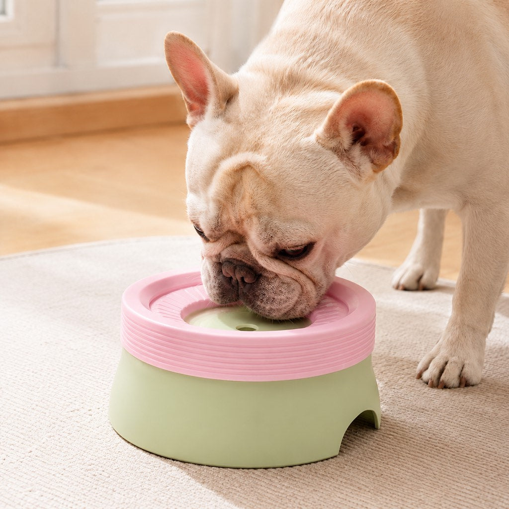 Malloren Frenchie No-Drip Floating Water Bowl for Indoor Daily Drinking - Helps Keep Muzzle Drier & Floors Cleaner