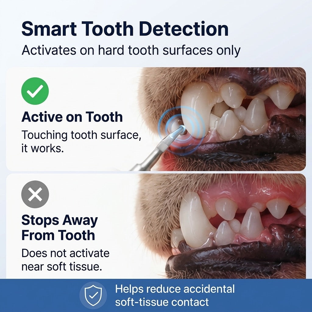 Malloren Ultrasonic Pet Dental Cleaner for Dogs & Cats – At-Home Tartar Care for Fresher Breath Between Vet Visits