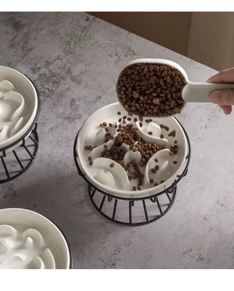 Lumière Bowl
