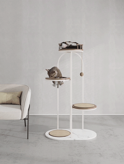 Meridian Feline Tower