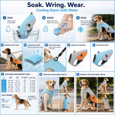 Malloren Dog Cooling Vest for Summer Walks - Wet-to-Cool Lightweight Jacket with Leash Ring for Hot Weather Outdoor Comfort