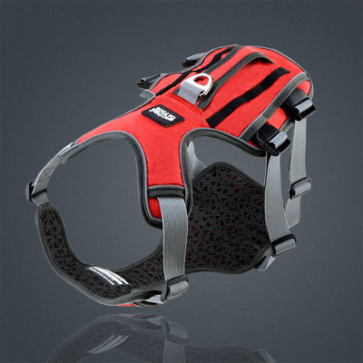 Vest Style Pet Chest Harness