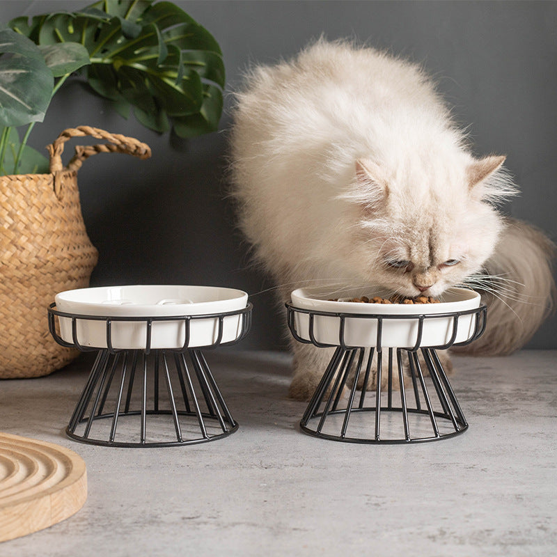 Lumière Bowl