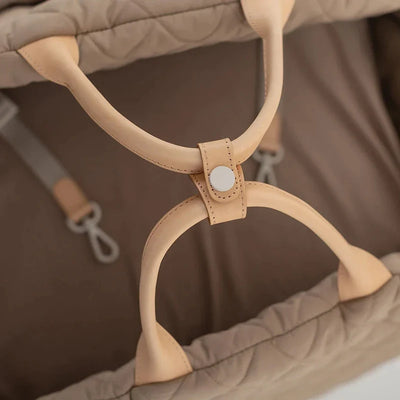 IvyLuxe Voyager- Premium Pet Carrier