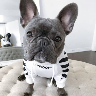 Dog Fashion Three-Stripe Dog Sweater- Winter Sports Dog Clothes