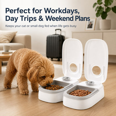 Malloren 48-Hour Timed Pet Feeder for Cats & Small Dogs - Scheduled Meals for Workdays, Short Trips & Busy Pet Parents