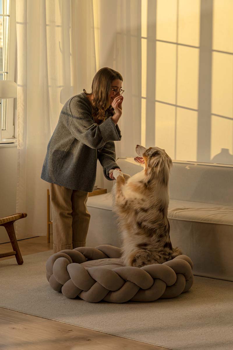 Le Chateau Canin - Luxury Pet Bed