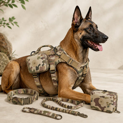 Malloren 5-Piece Tactical Dog Harness Set for Hiking & Training - Better Control for Strong Dogs