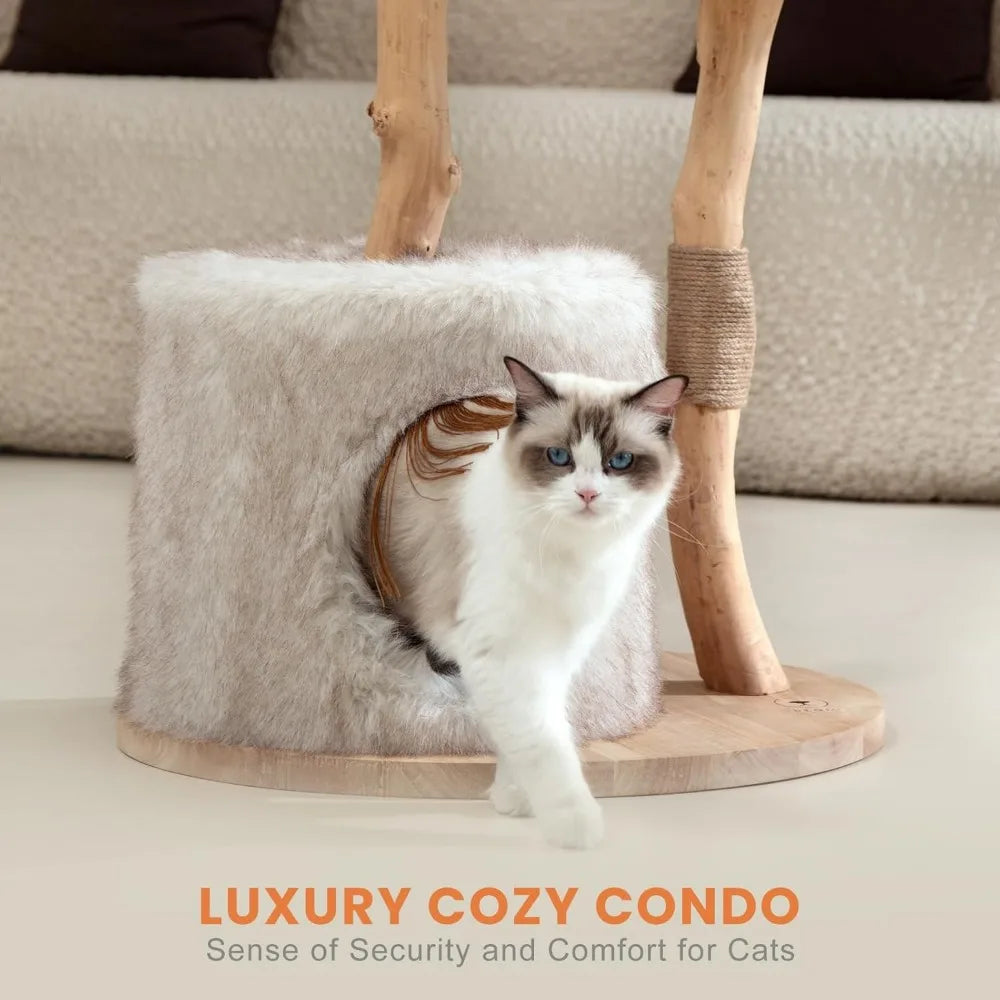 The Cloud Natural Cat Tree