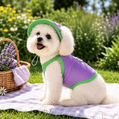 Malloren Dog Cooling Vest and Sun Hat Set – Keep your dog cool and comfortable during hot summer walks.