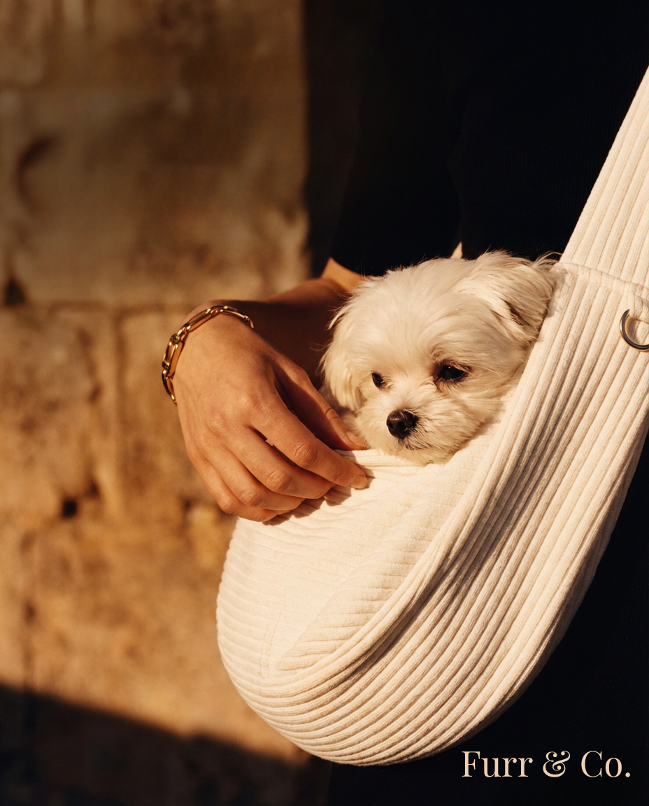 LuxePet- The Ultimate Pet Carrier