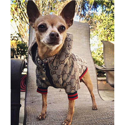 Luxury Designer Dog Fleece Jacket - Hoodie for Ultimate Canine Comfort & Style