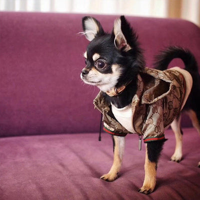 Luxury Designer Dog Fleece Jacket - Hoodie for Ultimate Canine Comfort & Style