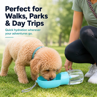 Malloren Portable 2-in-1 Pet Water & Food Bottle – Keep Dogs Hydrated & Fed on Walks, Hiking, or Travel