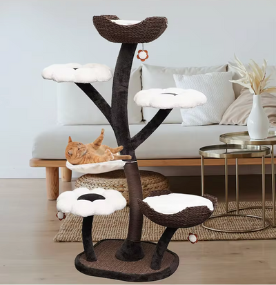 Terra- The Ultimate Cat Haven