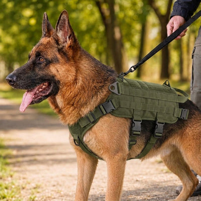 Malloren Tactical Dog Backpack Harness for Hiking & Daily Walks - Detachable Pouches for Gear & Better Control