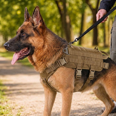 Malloren Tactical Dog Backpack Harness for Hiking & Daily Walks - Detachable Pouches for Gear & Better Control