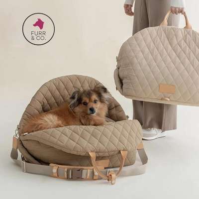 IvyLuxe Voyager- Premium Pet Carrier