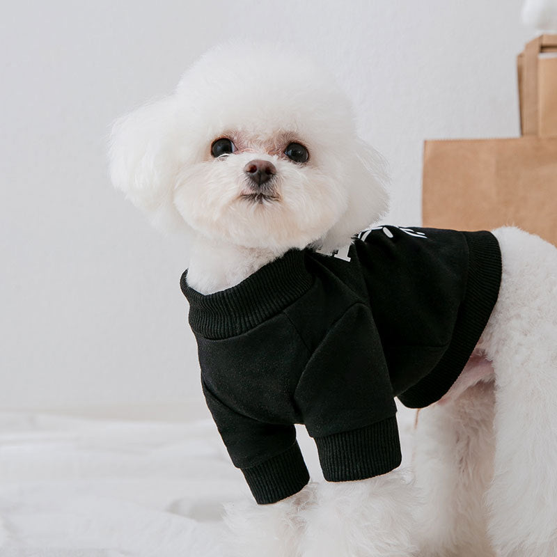 Fashion Dog Bear Printed Sweater - Adorable Canine Style Statement