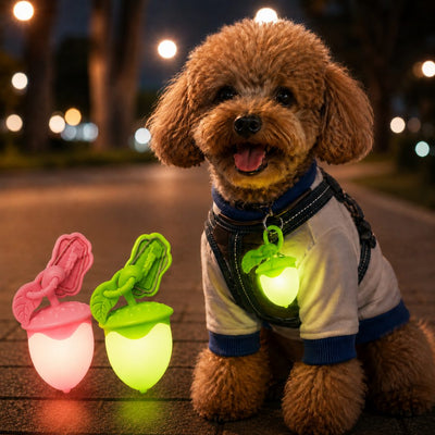 Malloren AcornGlow USB-C Rechargeable Pet Safety Light for Night Walks - Clip-On Acorn LED Charm for Collars, Harnesses & Leashes to Help Dogs Stay Visible After Dark