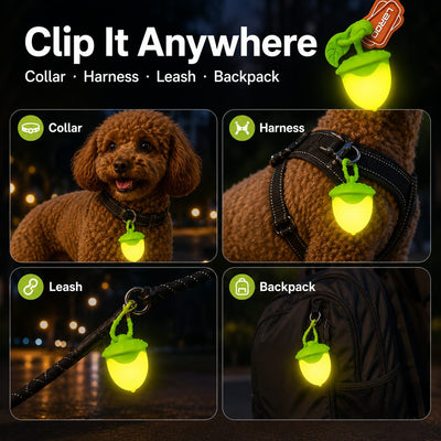 Malloren AcornGlow USB-C Rechargeable Pet Safety Light for Night Walks - Clip-On Acorn LED Charm for Collars, Harnesses & Leashes to Help Dogs Stay Visible After Dark