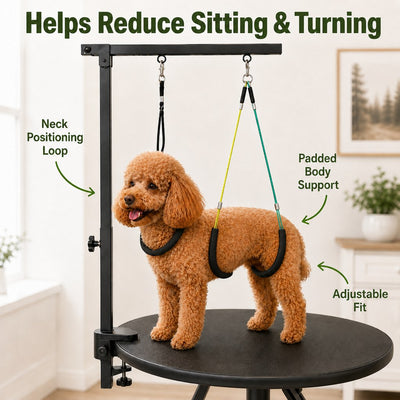 Malloren Adjustable Dog Grooming Arm Kit for At-Home Grooming - Steadier Brushing, Trimming & Nail Care