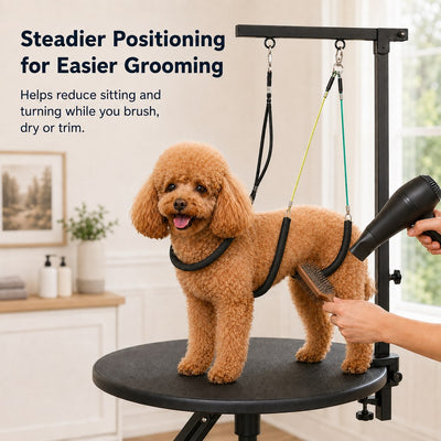 Malloren Adjustable Dog Grooming Arm Kit for At-Home Grooming - Steadier Brushing, Trimming & Nail Care
